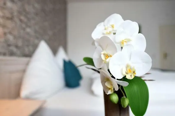 Hotel-restaurant Brathahnchenfarm Steinau an der Straße